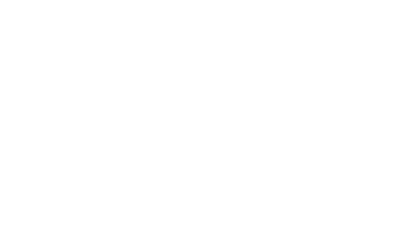 EagleIQ Logo